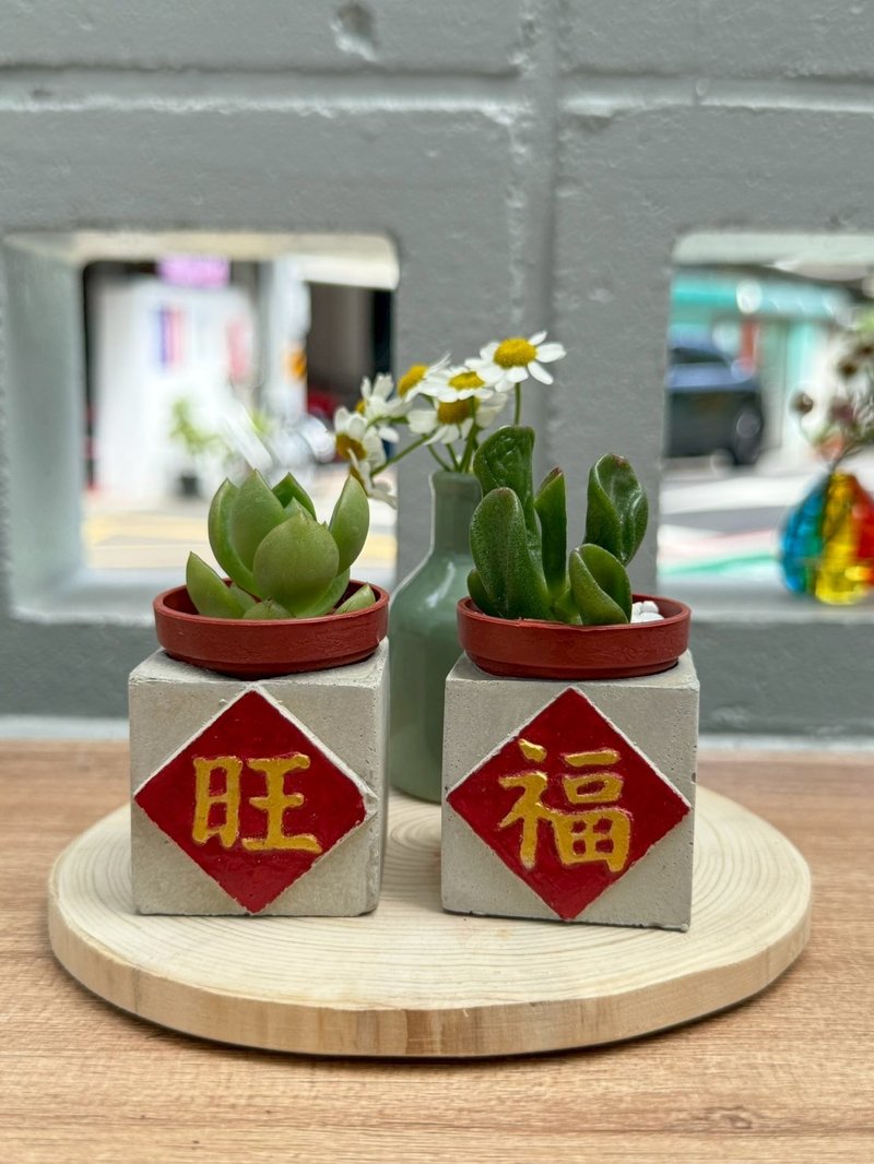 送禮首選 旺(發)福磁鐵盆栽組 送包裝 - 盆栽/植栽 - 水泥 紅色