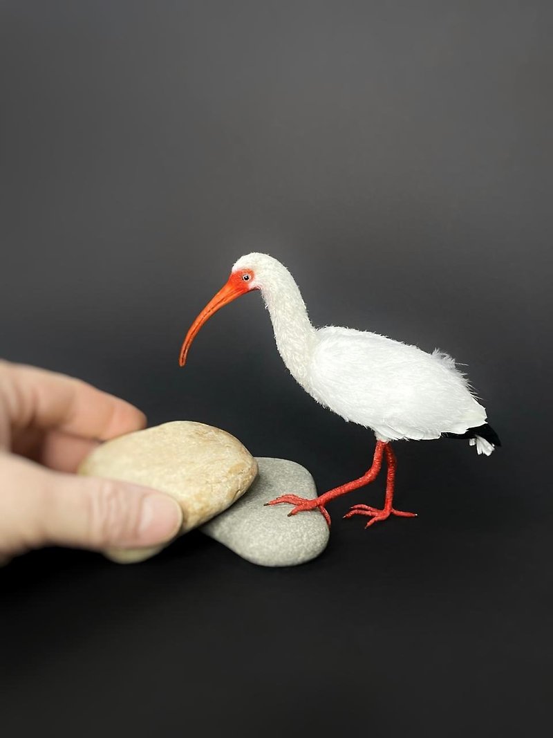 Ameican White Ibis - Items for Display - Other Materials White