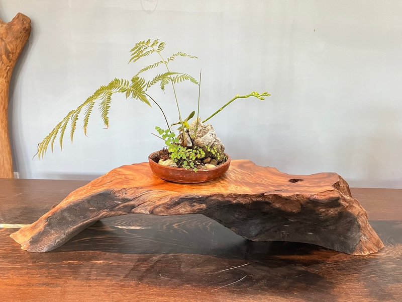 台灣牛樟-閃花藝品檯面 - 擺飾/家飾品 - 木頭 咖啡色