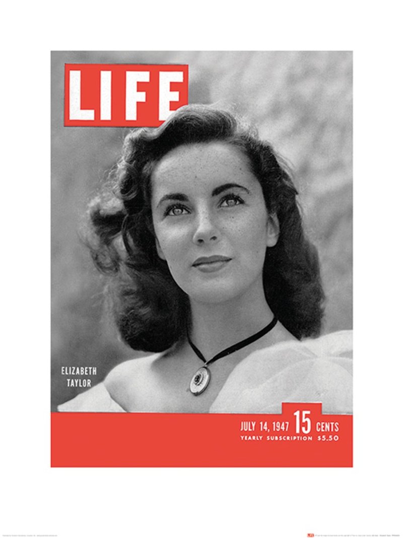 【Life生活雜誌】伊莉莎白泰勒 雜誌封面 60x80cm 攝影作品 - 海報/掛畫/掛布 - 紙 多色
