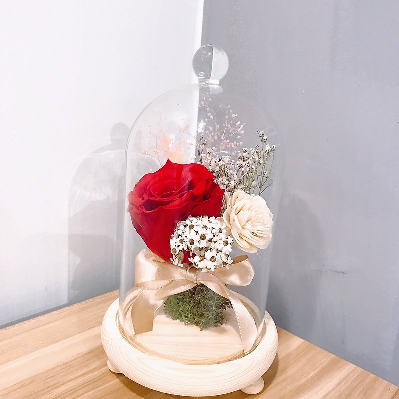{BUSYBEE} Everlasting Flower Glass Shade Night Light Decoration Birthday Gift - ตกแต่งต้นไม้ - พืช/ดอกไม้ 