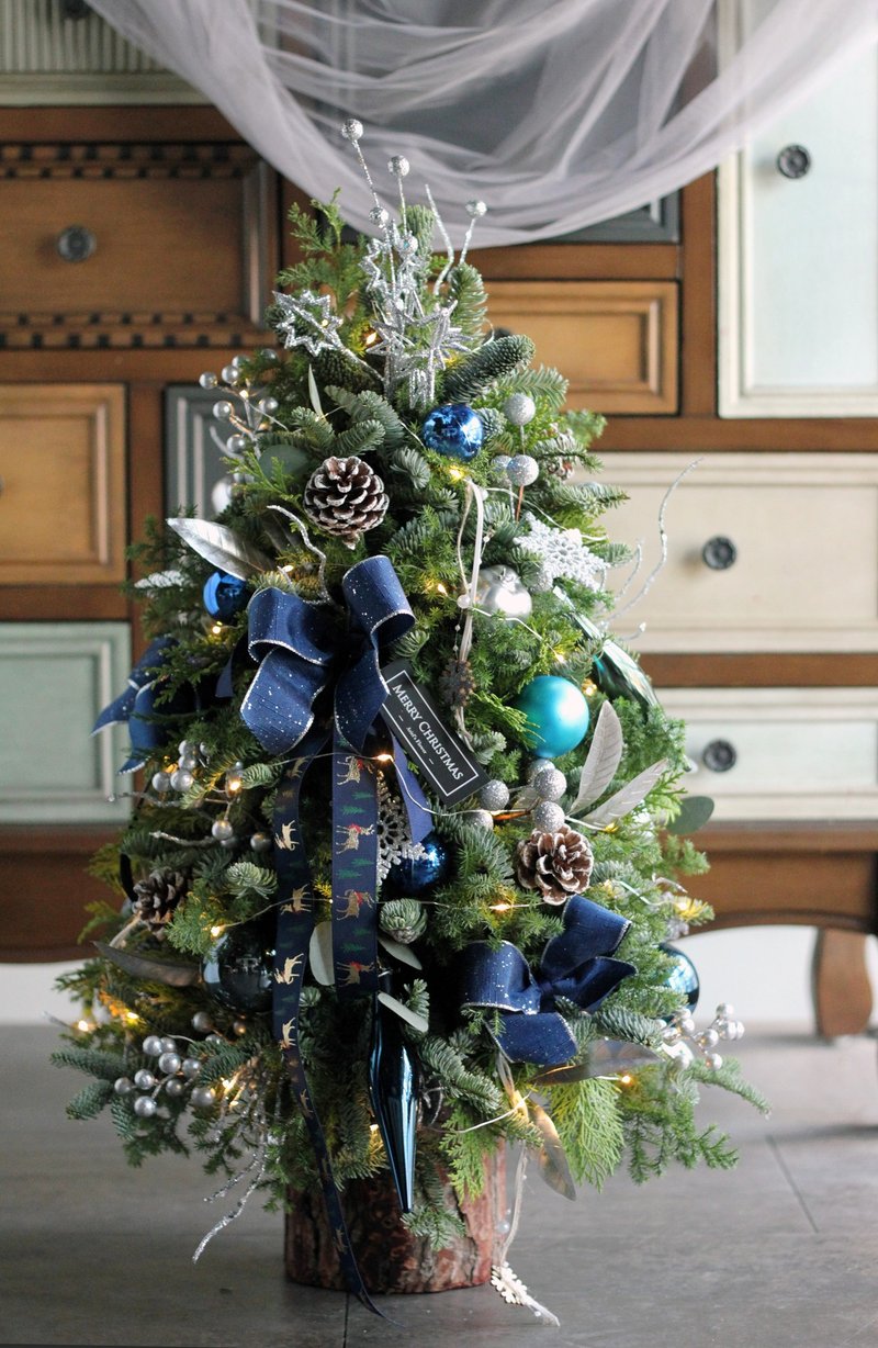 優雅的粉色與藍色 【新鮮聖誕樹 】諾貝松與雪松聖誕樹 - 盆栽/植栽 - 植物．花 多色