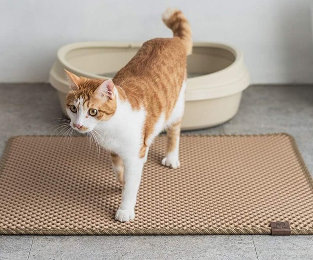 Blackhole cat litter mat best sale