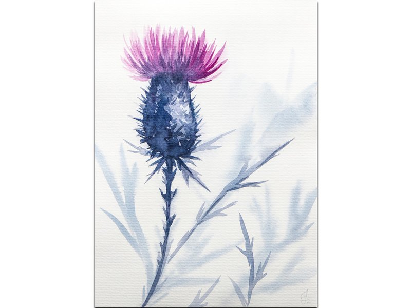 Thistle Painting Flower Original Art Indigo Floral Watercolor Hand-Painted - 海報/掛畫/掛布 - 紙 藍色