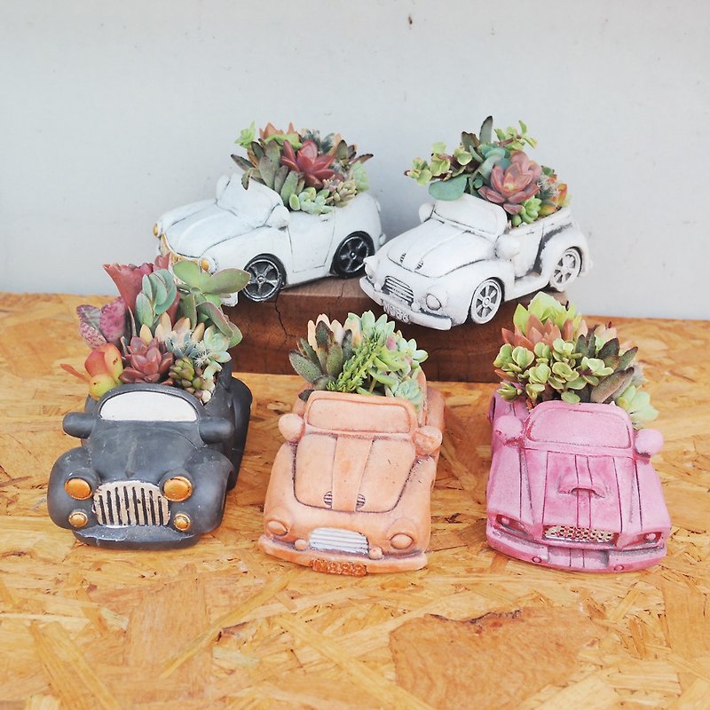 Doudou succulents and small groceries-retro car series succulent planting combination - Plants - Cement 