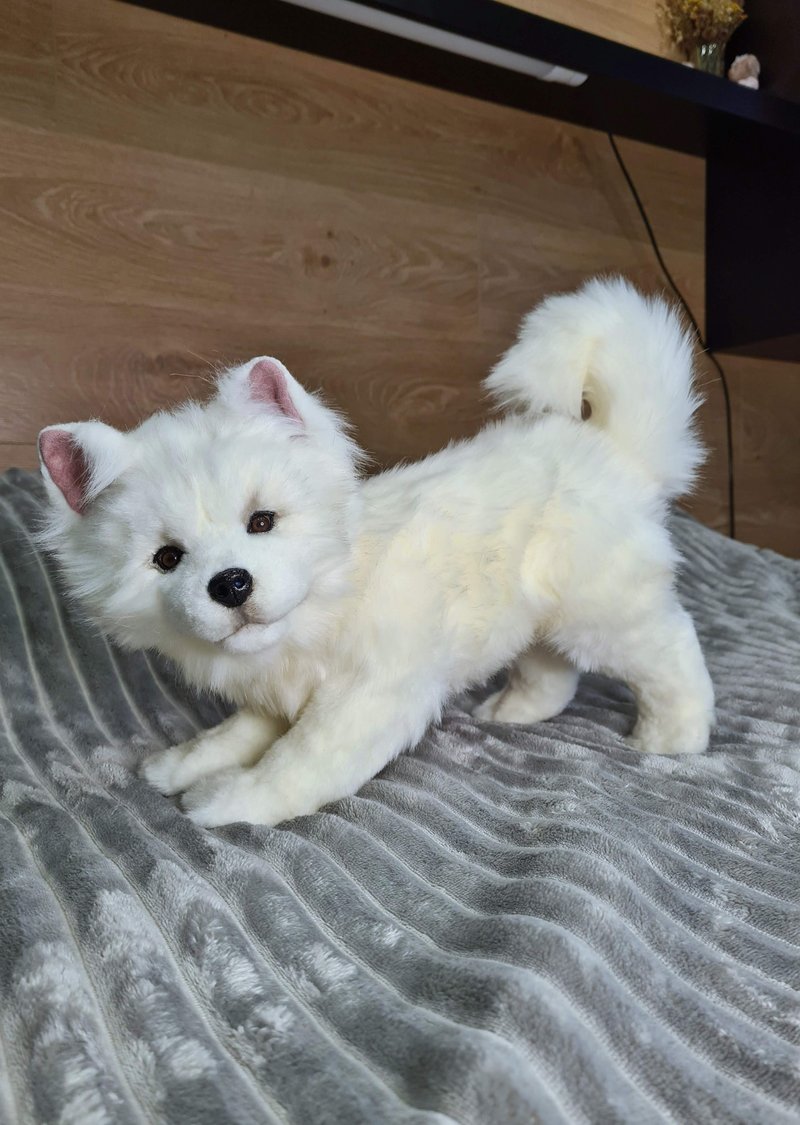 Samoyed. Realistic stuffed dog. Realistic movable toy. - Stuffed Dolls & Figurines - Other Materials White