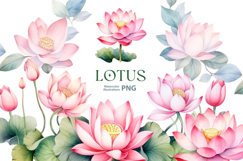 Watercolor lotus clipart set, 10 Png, water lily floral Clipart, pink lotus png - ดิจิทัลแพลนเนอร์ - วัสดุอื่นๆ 