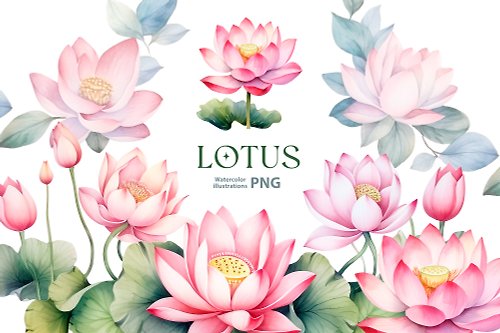 Natali Mias Store Watercolor lotus clipart set, 10 Png, water lily floral Clipart, pink lotus png