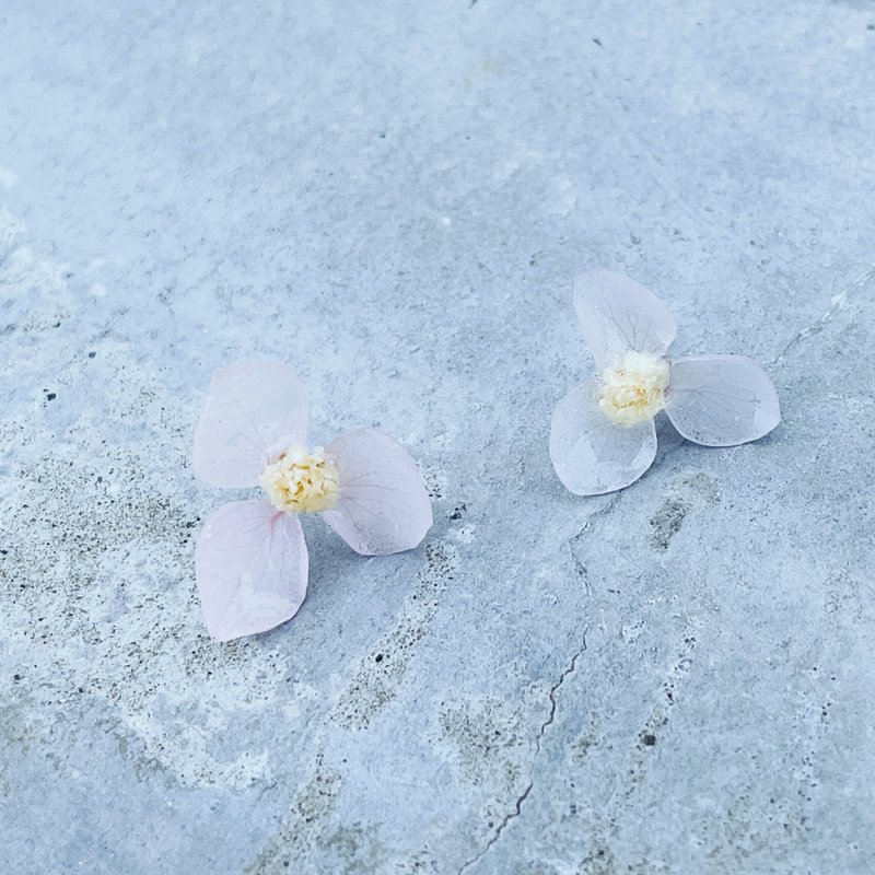 Xunmi (real flower earrings) - Earrings & Clip-ons - Plants & Flowers Transparent