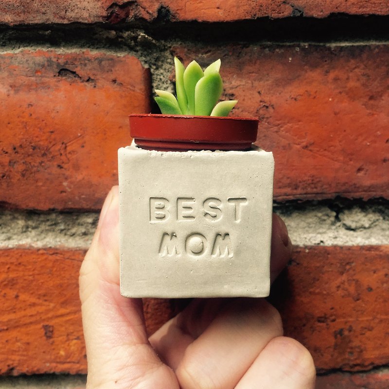 BEST MOM. Mom is great. Mother's Day Succulent Magnet Potted Plant - ตกแต่งต้นไม้ - ปูน สีเทา