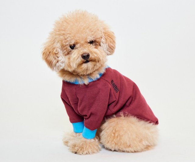 Dog thermal sale shirt