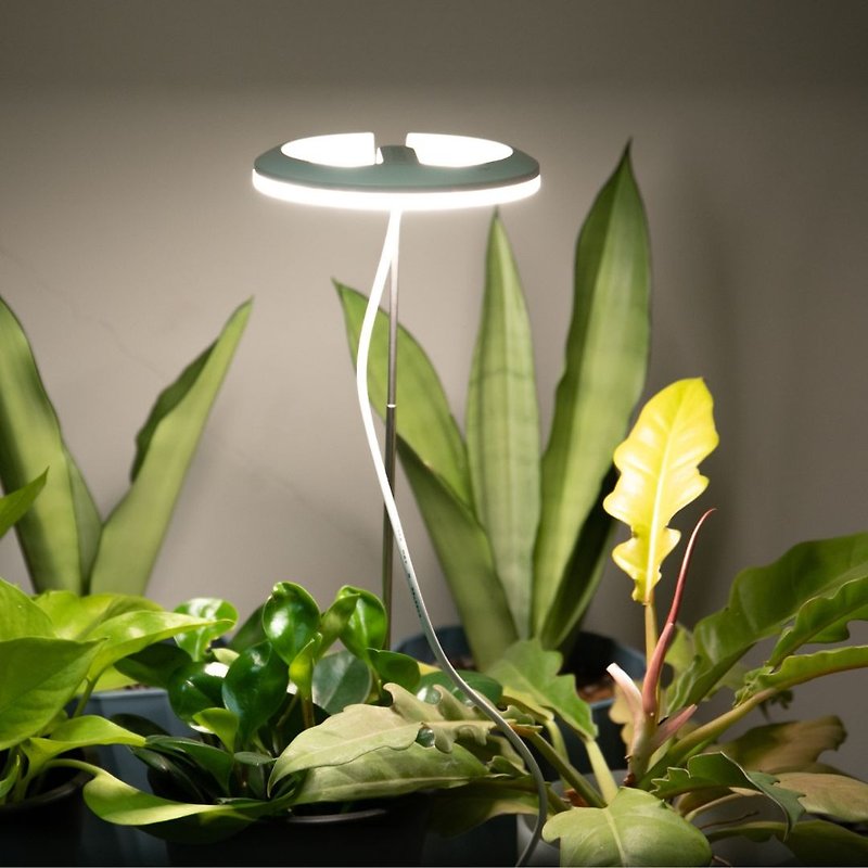 Polina フルスペクトル植物ライト/鉢植え植物育成ライト/植物ライト推奨 - 照明・ランプ - その他の素材 