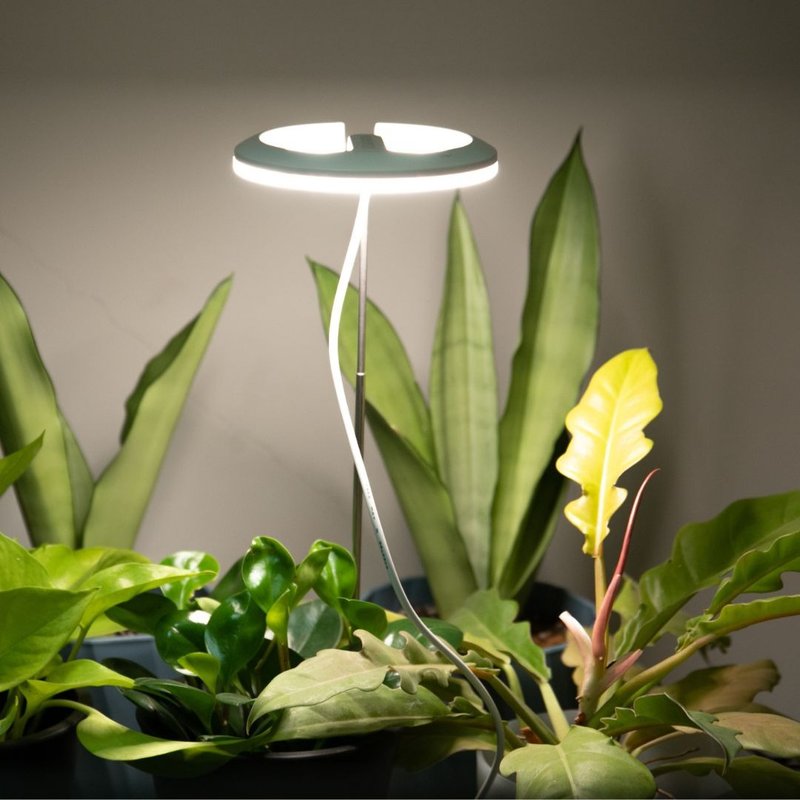 Polina Full Spectrum Plant Light - Plants - Other Materials 