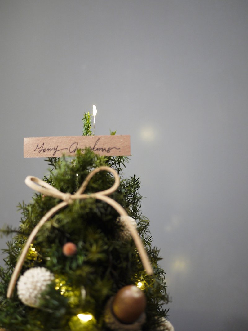[Customized Gift] Everlasting Cedar Forest Christmas Glass Tree - ของวางตกแต่ง - พืช/ดอกไม้ สีนำ้ตาล