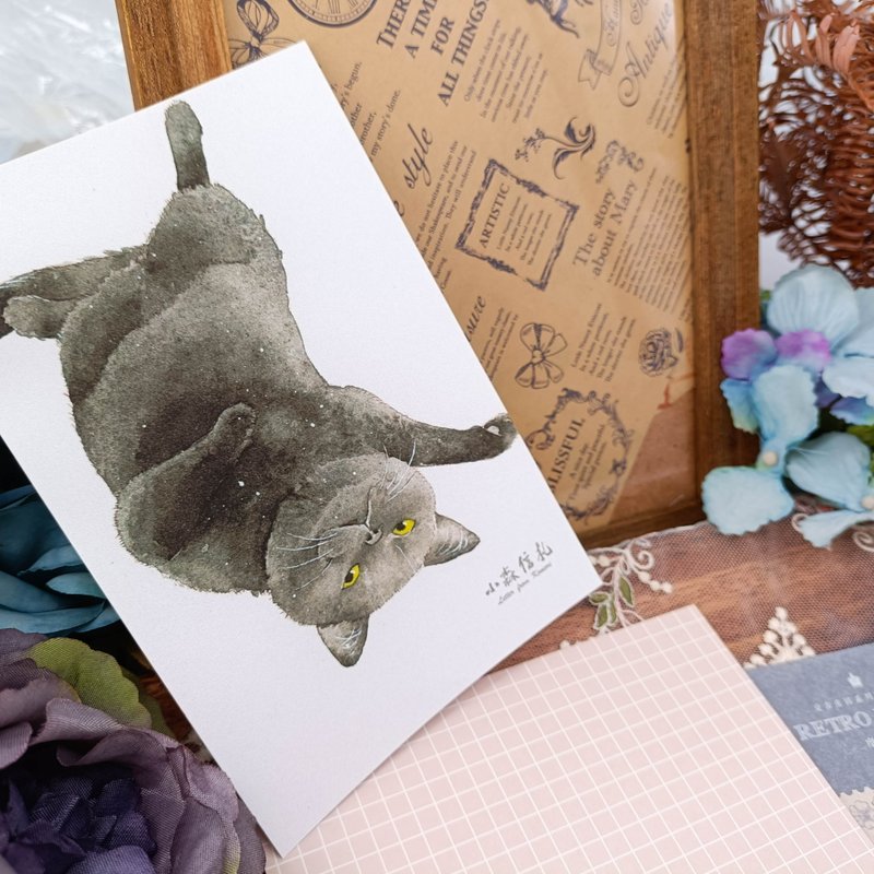 LS142貓咪明信片_03_Cat Postcard_03/明信片 - 卡片/明信片 - 紙 