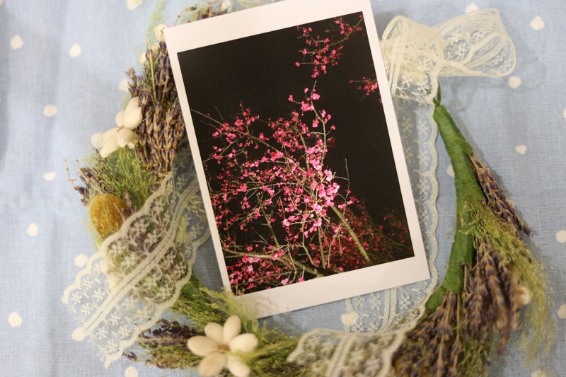 【Postcard】cherry blossoms at night - การ์ด/โปสการ์ด - กระดาษ ขาว