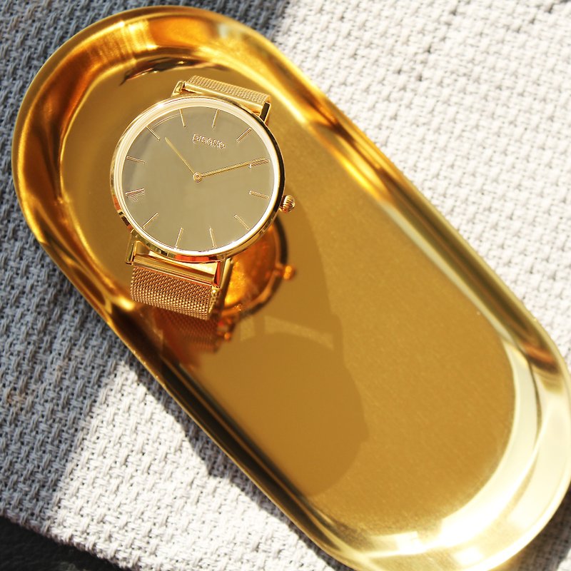 Stainless Steel Men's & Unisex Watches - Mirror T minimalist fashion collection / FX-7104