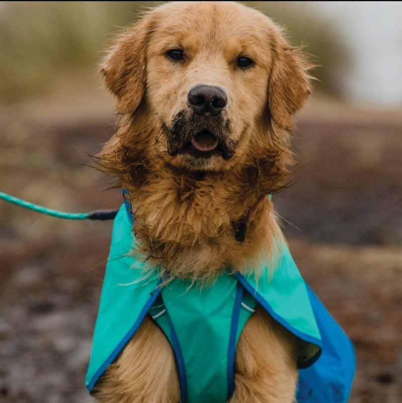 Ruffwear Sun Shower雨衣 - 寵物衣服 - 塑膠 多色