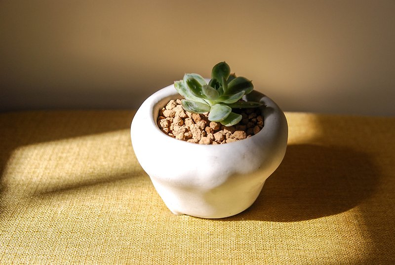 Kneading and shaping small short legs mud pot (marl/gradient color) - Plants - Cement Gray