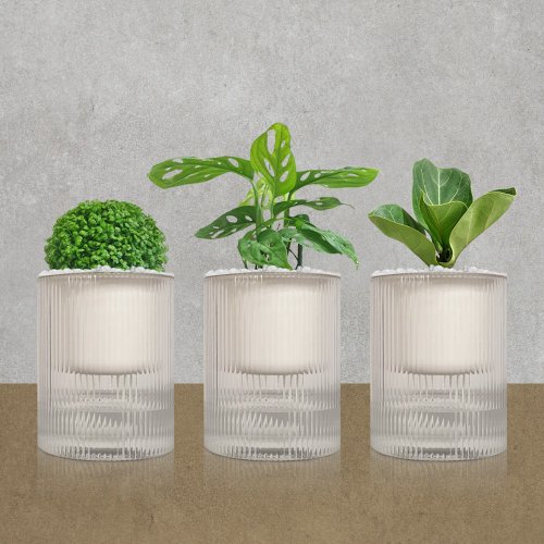 Hug Mountains 植栽 室內盆栽 無印風三盆 植物盆栽