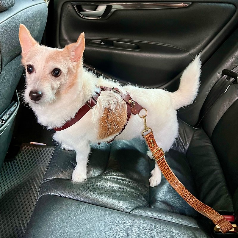 【Universal】Pet car seat belt│Pure cowhide│Dual protection mechanism-applicable within 10kg - Pet Carriers - Genuine Leather Brown