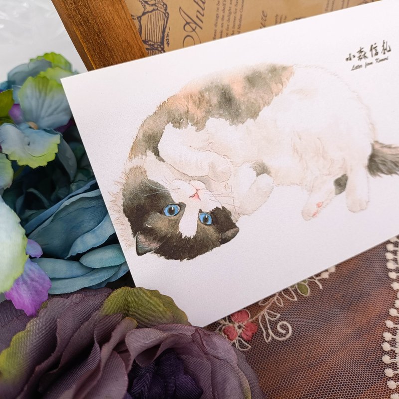 LS148貓咪明信片_09_Cat Postcard_09/明信片 - 卡片/明信片 - 紙 多色