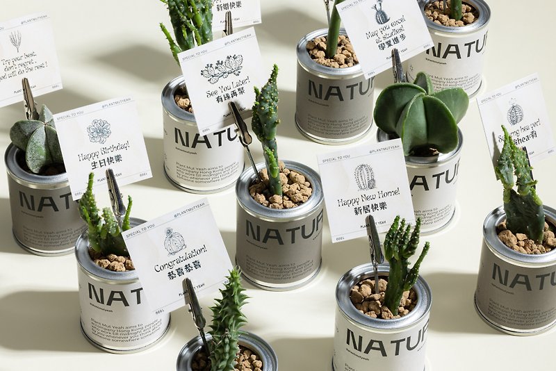 散水,禮物 Gift Card &amp; Plants- Cute mini cactus pot Gift