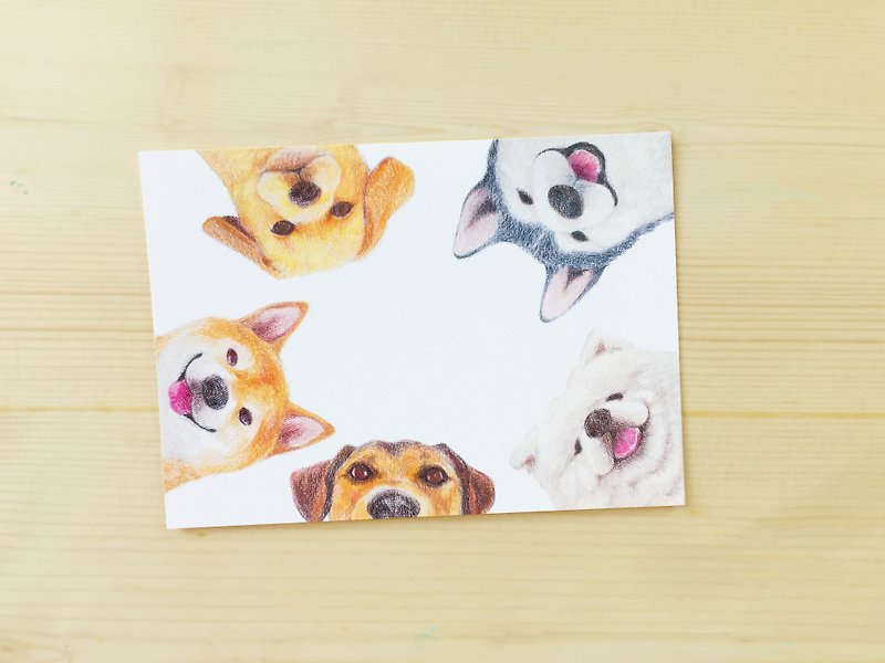 犬 - ポストカード/ユニバーサルカード - カード・はがき - 紙 ホワイト