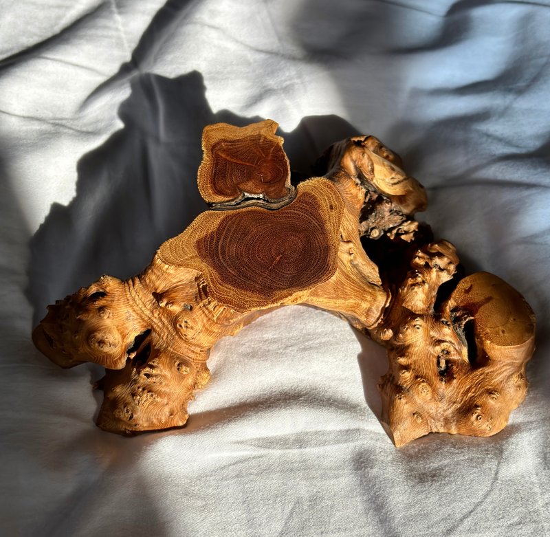 意景 𤠣型 實木 原木 麻利疙瘩木 底座 樹根 造景杯墊 茶道 - 擺飾/家飾品 - 木頭 咖啡色