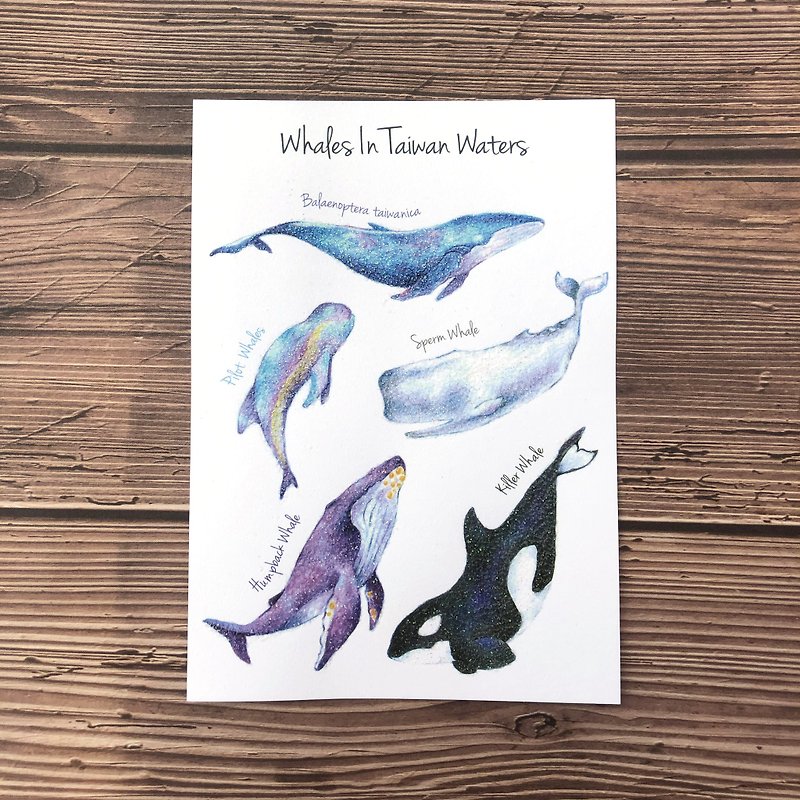 Whale essay postcard* Kuroshio collaboration product - Cards & Postcards - Paper 