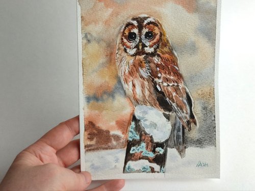 フクロウの絵画オリジナルの水彩画アート鳥のアートワーク野生