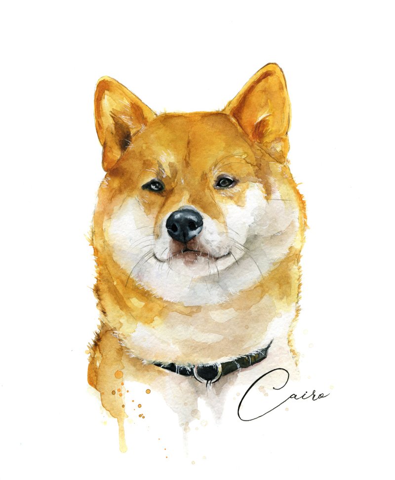 Custom Watercolor Dog Portrait Shiba Inu - ภาพวาดบุคคล - กระดาษ สีส้ม