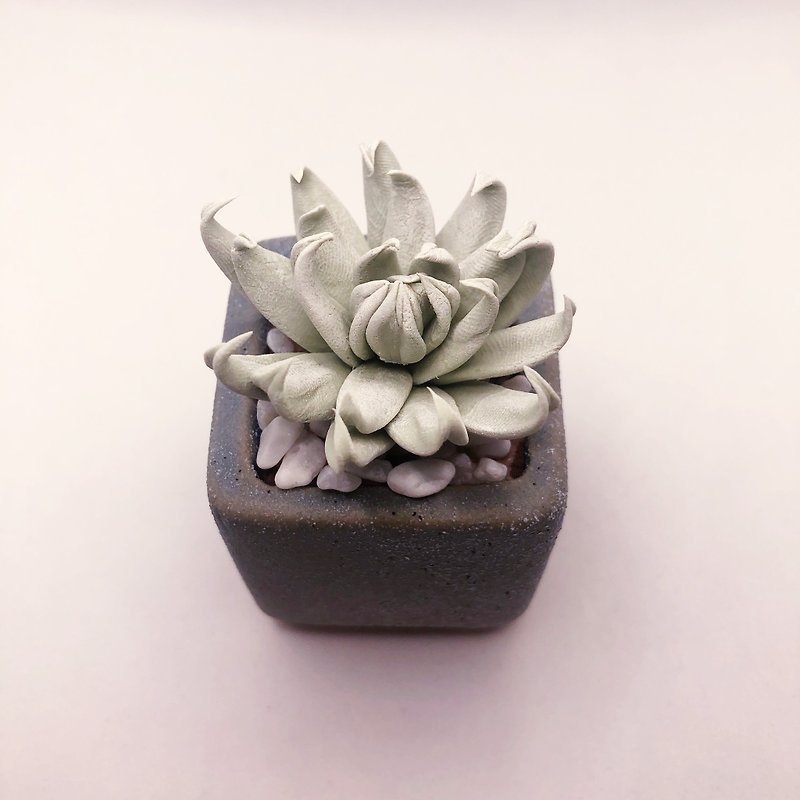 [Order] Clay succulents - special leaf jade butterfly - Items for Display - Clay 