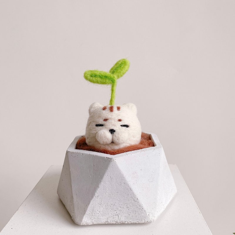 Germinated Taimao wool felt succulent potted plant/decoration/home decoration/gift - Plants - Wool 