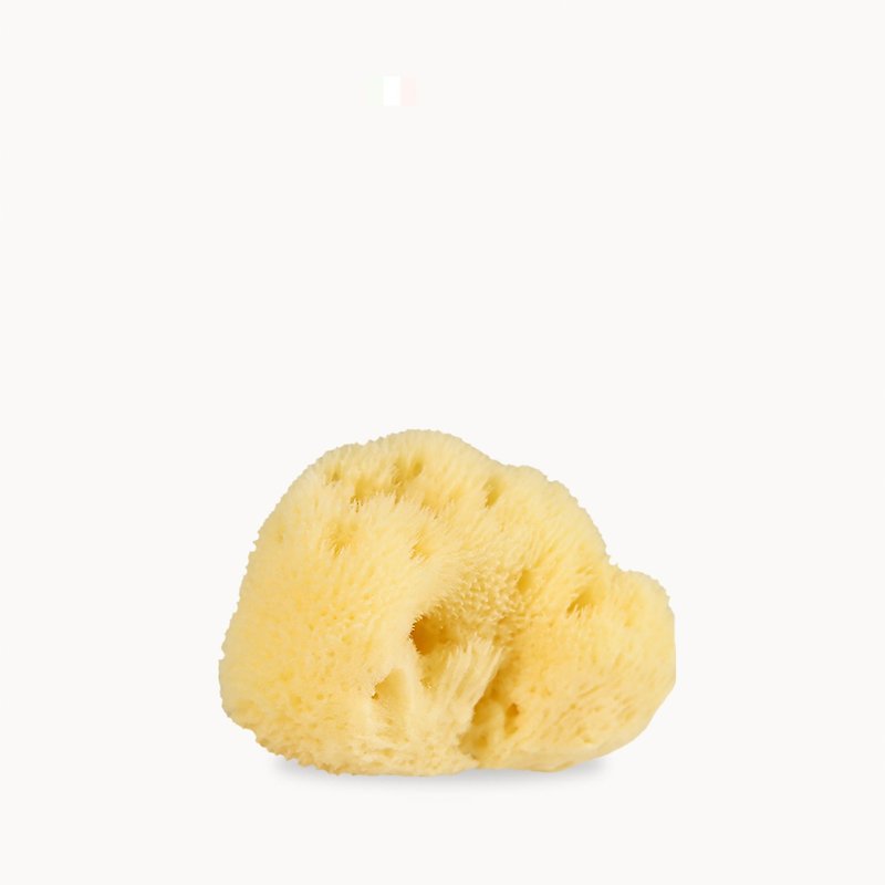【New】Natural Fine Silk Sea Sponge (a piece of cake) - ผลิตภัณฑ์ทำความสะอาดหน้า - ฟองน้ำ สีเหลือง