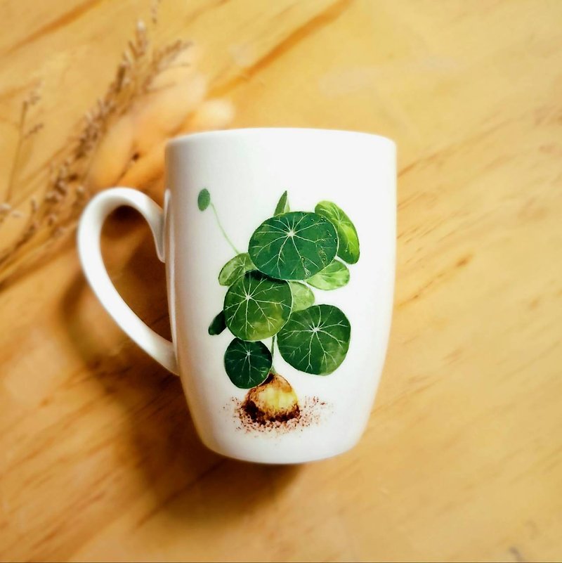 瓷 咖啡杯/馬克杯 - 手繪觀葉植物 馬克杯  山烏龜系列
