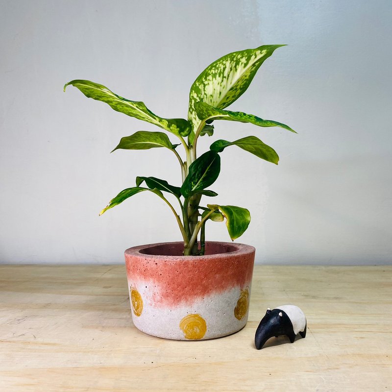 限量單品 手作厚實單品紅色金點水泥盆 - 盆栽/植栽 - 水泥 多色