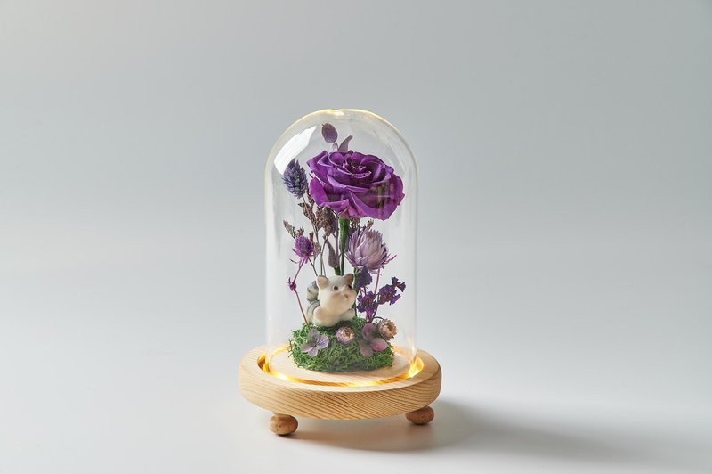 Lovely doll flower cup rose night light - Dried Flowers & Bouquets - Plants & Flowers 