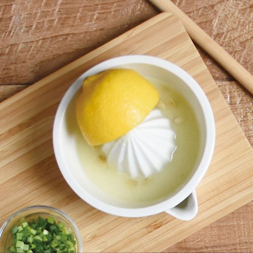 KINTO Taiwan (授權總代理) 日本KINTO TAKU檸檬榨汁器 / 共2色