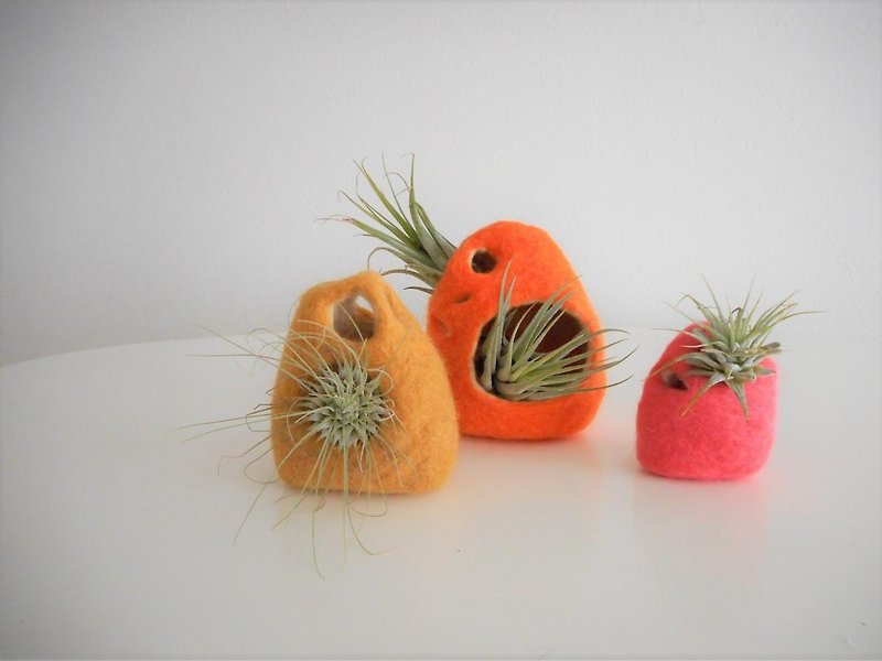 Air plants pot - Plants - Wool Orange