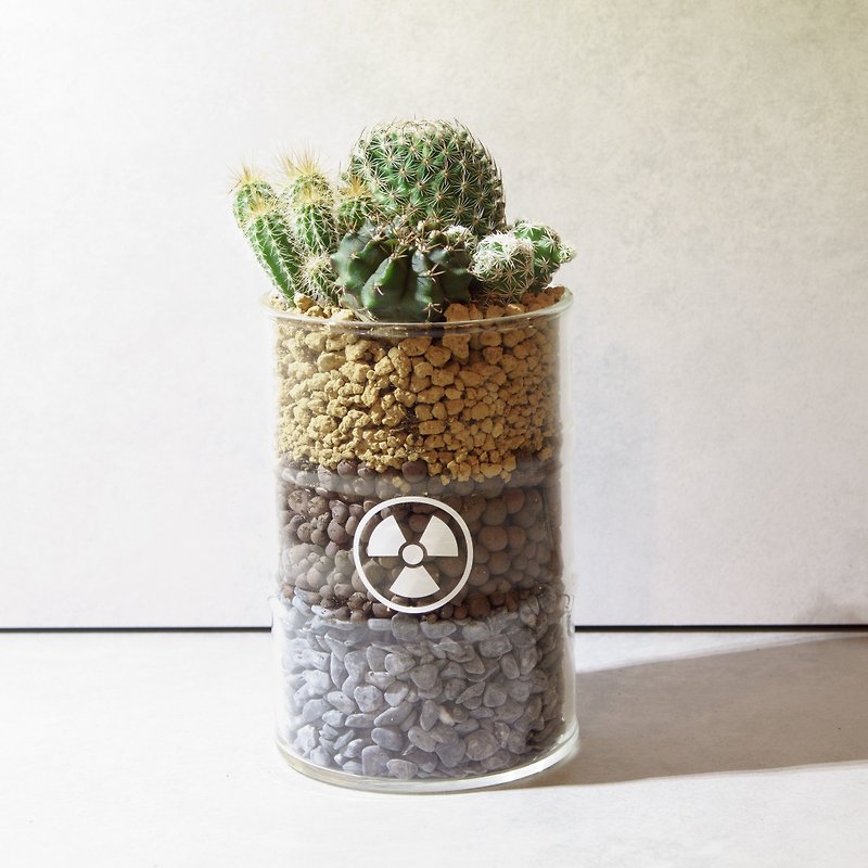 マイクロキングデザイン - 風刺核カップ（肉質サボテン） - 観葉植物 - ガラス グリーン