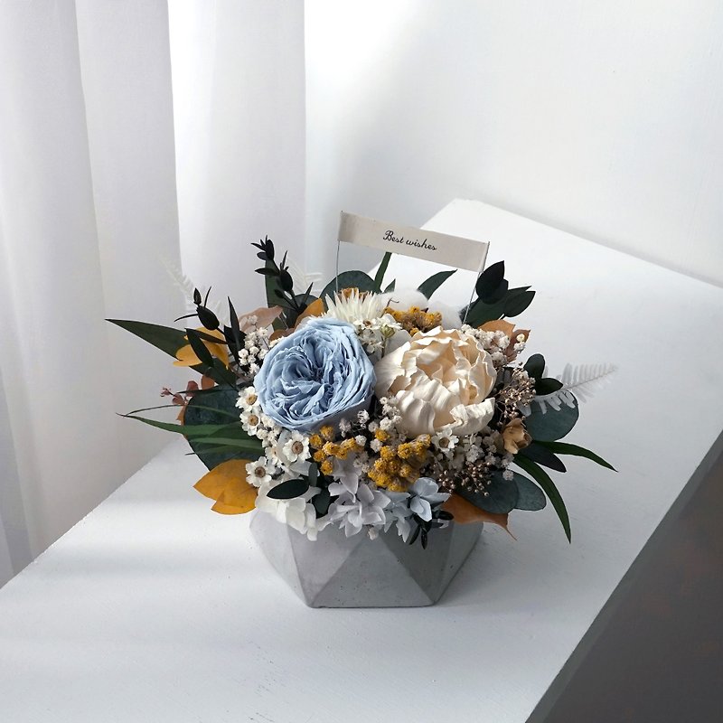 Opening Celebration Birthday Graduation Flower Ceremony Blue-green Department Can Diffuse Fragrance Immortal Flower Rose Flower Pot