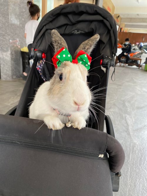 Avondream 手創小舖 Q1-手工寵物生日帽子寵物髮飾頭套兔兔牽繩衣配件兔子花圈 聖誕節