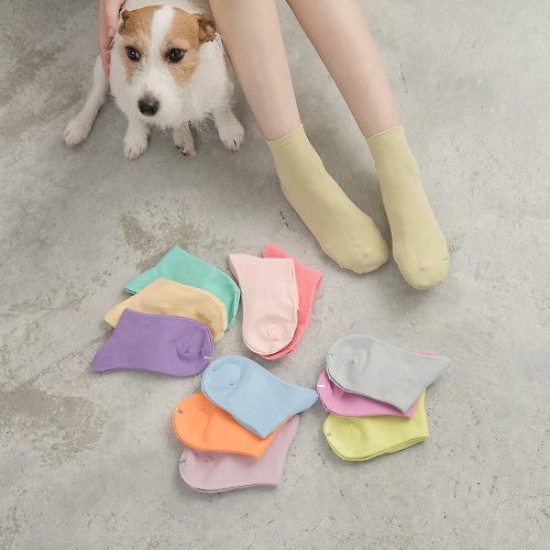 貝柔 Peilou 馬卡龍萊卡純色主義精梳棉短襪6雙顏色隨機