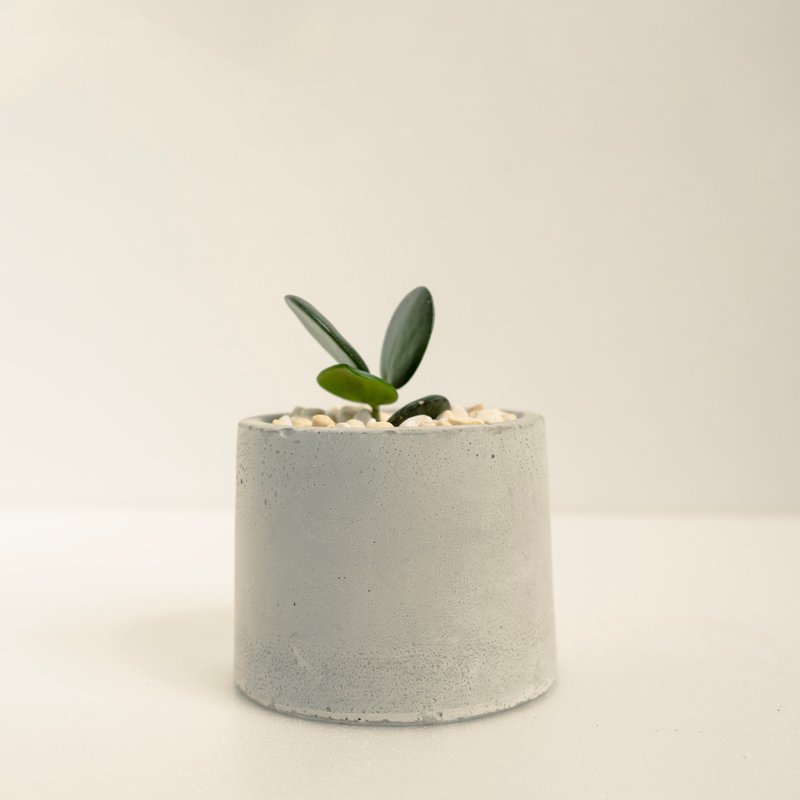 Blue Thunder Drum│Clay Series│Fu Zaozao - Plants - Cement Green