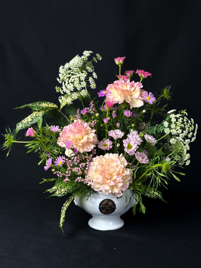 Fresh Carnation-Carnation Potted Flower - Pottery & Ceramics - Plants & Flowers Pink