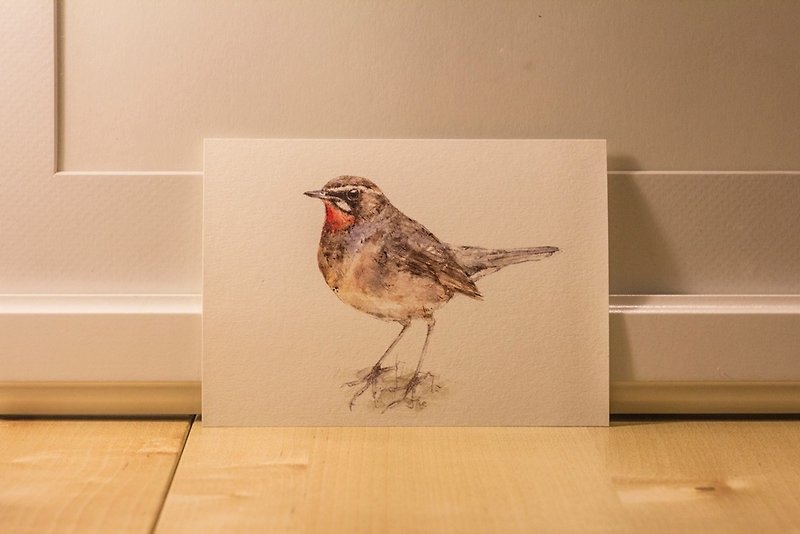 Birds Postcard ‧0116 - Cards & Postcards - Paper 