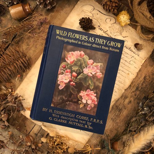 CT歐美老件古董雜貨舖 英國Cassell & Co公司出版百年野生花卉叢書-珍貴第一版第2集