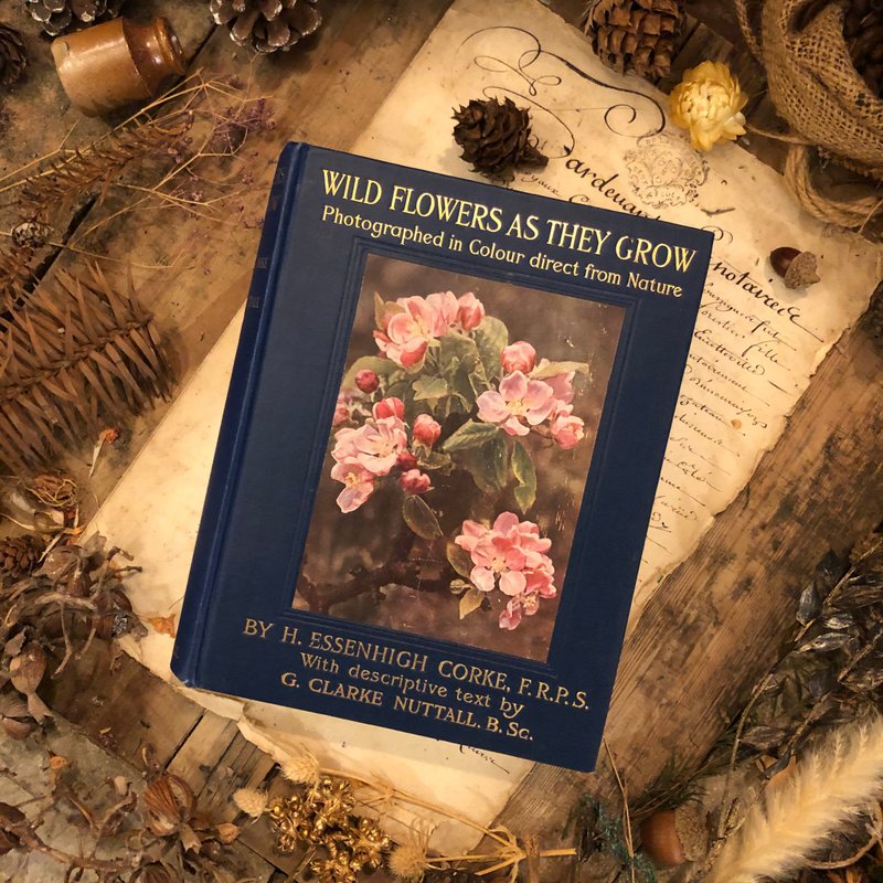 英國Cassell & Co公司出版百年野生花卉叢書-珍貴第一版第2集 - 刊物/書籍 - 紙 藍色