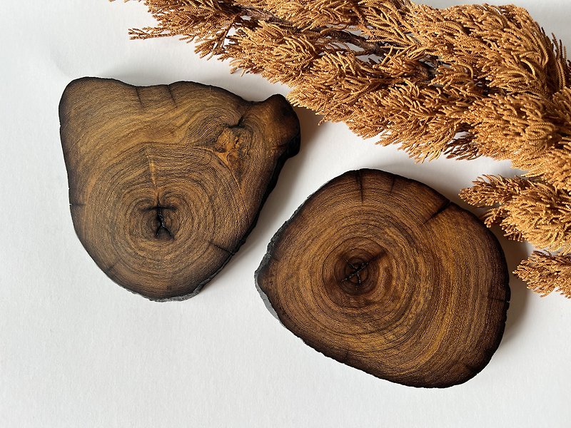 台灣鐵刀木原始自然刻痕年輪紋杯墊/擺件-手作溫度 - 杯墊 - 木頭 